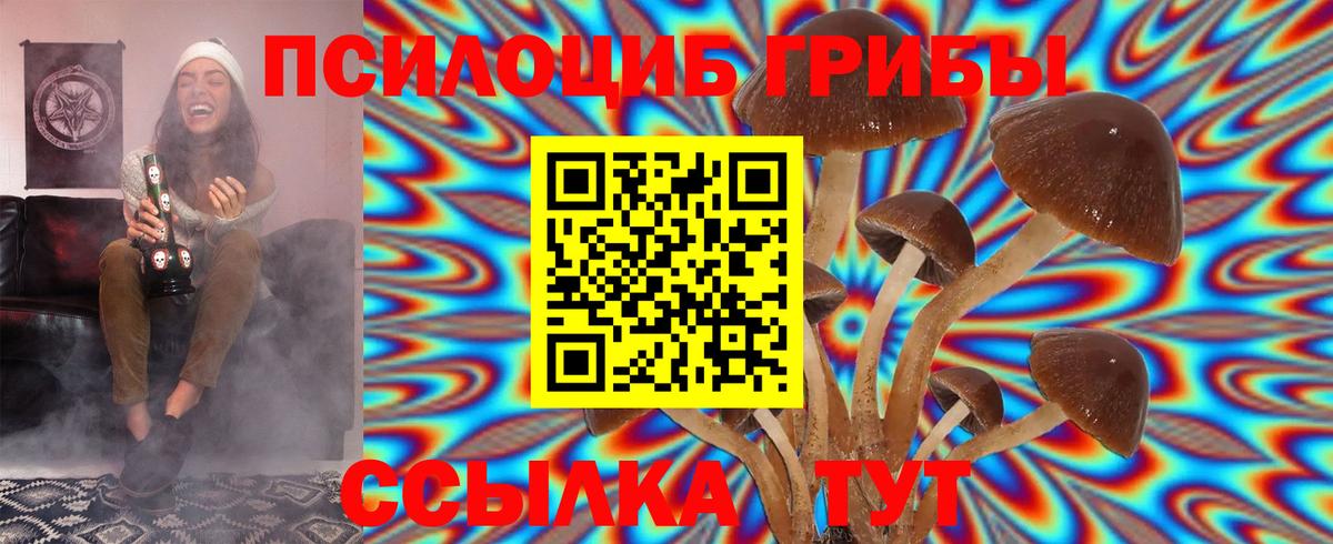 Псилоцибиновые грибы GOLDEN TEACHER Элиста