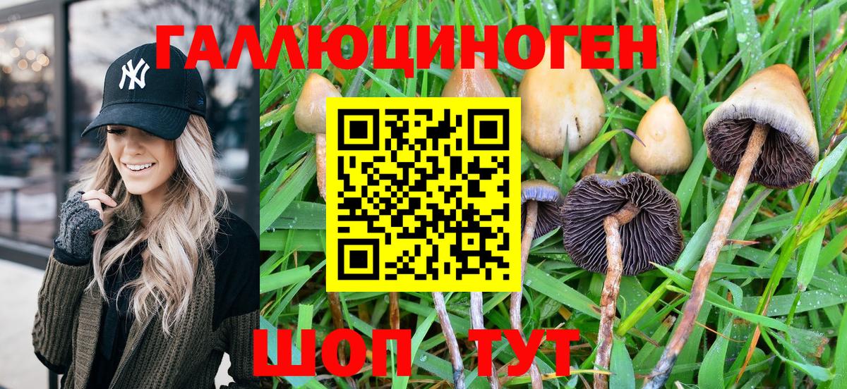 Псилоцибиновые грибы MAGIC MUSHROOMS  Галлюциногенные грибы Psilocybine cubensis  Вход с VPN  Элиста 